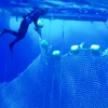 Underwater defense net